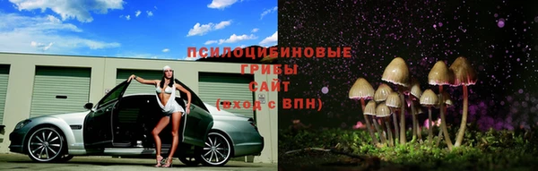 mix Алексин