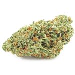Шишки OG Kush  (Гидропоника, бошки) VHQ в Анадыре